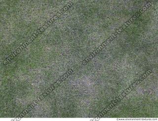 Photo Textures of Ground Grass